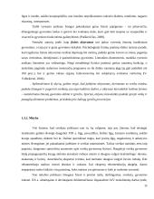 Mokytojų sveikatos svarba 15 puslapis