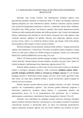 Ekologinis ugdymas 3-4 klasėse 14 puslapis