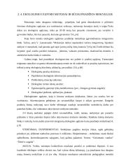 Ekologinis ugdymas 3-4 klasėse 16 puslapis