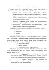 Ekologinis ugdymas 3-4 klasėse 8 puslapis