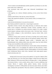 Bendravimo ir bendradarbiavimo ugdymas 3 puslapis