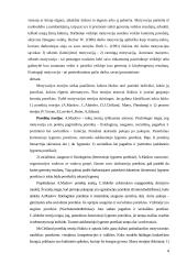 Bendravimo ir bendradarbiavimo ugdymas 4 puslapis