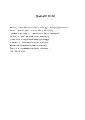 Ikimokyklinio ugdymo pasirinkimo galimybės Lietuvoje 2 puslapis