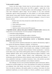 Ikimokyklinio ugdymo pasirinkimo galimybės Lietuvoje 15 puslapis