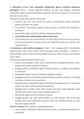 Ikimokyklinio ugdymo pasirinkimo galimybės Lietuvoje 17 puslapis