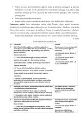 Ikimokyklinio ugdymo pasirinkimo galimybės Lietuvoje 18 puslapis