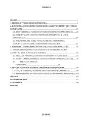 Ikimokyklinio ugdymo pasirinkimo galimybės Lietuvoje 3 puslapis