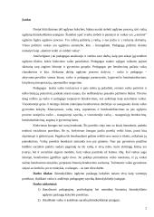 Ikimokyklinio ugdymo paslaugų kokybės valdymas 2 puslapis