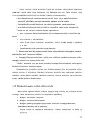 Ikimokyklinio ugdymo paslaugų kokybės valdymas 16 puslapis