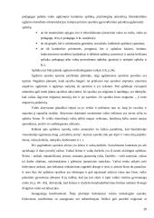 Ikimokyklinio ugdymo paslaugų kokybės valdymas 20 puslapis