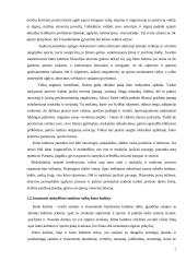 Jaunesnio mokyklinio amžiaus vaikų fizinės buklės charakteristika 5 puslapis