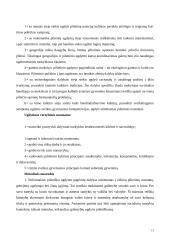 Jaunimo neformalus ugdymas 13 puslapis