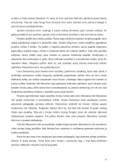 Jaunimo neformalus ugdymas 19 puslapis