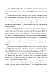 Jaunimo neformalus ugdymas 20 puslapis