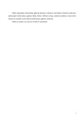 Jaunimo neformalus ugdymas 3 puslapis