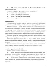 Jaunimo neformalus ugdymas 5 puslapis