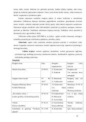 Jaunimo mokyklose besimokančių paauglių streso problema 18 puslapis