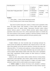 Jaunimo mokyklose besimokančių paauglių streso problema 20 puslapis