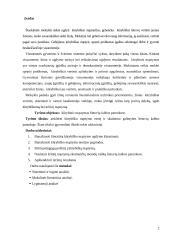 Kūrybinis mąstymas lietuvių kalbos pamokose 2 puslapis