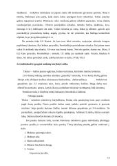 Kūrybinis mąstymas lietuvių kalbos pamokose 16 puslapis