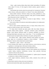Kūrybinis mąstymas lietuvių kalbos pamokose 17 puslapis