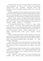 Kūrybinis mąstymas lietuvių kalbos pamokose 7 puslapis