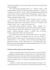 Kūrybinis mąstymas lietuvių kalbos pamokose 8 puslapis
