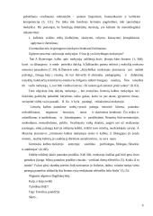 Kūrybinis mąstymas lietuvių kalbos pamokose 9 puslapis