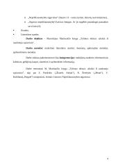 Marcelijaus Martinaičio kūryba 3 puslapis