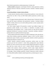 Ketvirtųjų klasių moksleivių geometrinių vaizdinių lygiai 2 puslapis