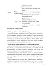 Ketvirtųjų klasių moksleivių geometrinių vaizdinių lygiai 12 puslapis