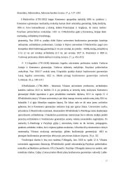 Ketvirtųjų klasių moksleivių geometrinių vaizdinių lygiai 17 puslapis