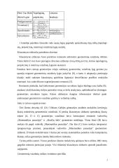 Ketvirtųjų klasių moksleivių geometrinių vaizdinių lygiai 3 puslapis