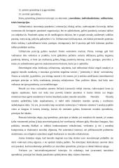 Etinių sprendimų priėmimo kriterijai 2 puslapis