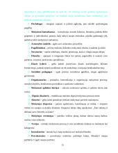 Mokytojo vaidmenys švietimo kaitos kontekste 15 puslapis