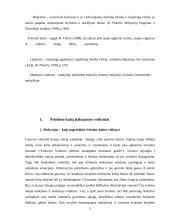 Mokytojo vaidmenys švietimo kaitos kontekste 5 puslapis