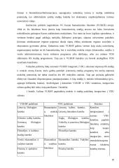 Mokslo ir studijų įstaigų koncentracija  18 puslapis