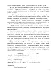 Mokymo metodų taikymas mokant suaugusiuosius 5 puslapis