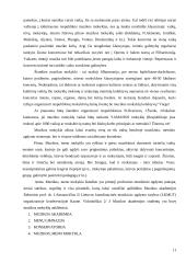 Muzikos mokyklų raida  11 puslapis