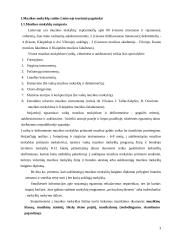 Muzikos mokyklų raida  3 puslapis