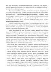 Muzikos mokyklų raida  6 puslapis