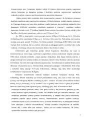 Muzikos mokyklų raida  7 puslapis