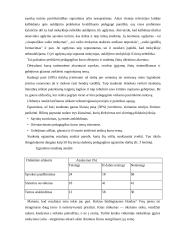 Pradinio ugdymo pedagogo statuso sproblema 11 puslapis