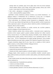 Pradinio ugdymo pedagogo statuso sproblema 13 puslapis