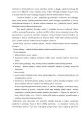 Pradinio ugdymo pedagogo statuso sproblema 16 puslapis