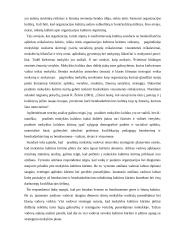 Pradinio ugdymo pedagogo statuso sproblema 19 puslapis