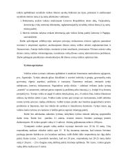 Refleksyviojo mokymo principų realizavimas teisinio ugdymo pamokose 3 puslapis