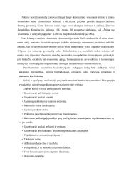 Refleksyviojo mokymo principų realizavimas teisinio ugdymo pamokose 4 puslapis