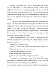 Refleksyviojo mokymo principų realizavimas teisinio ugdymo pamokose 7 puslapis