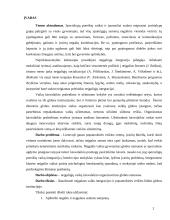 Neįgaliųjų vaikų laisvalaikio organizavimas globos namuose 2 puslapis